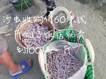 这是每天渔民重复做的一件事儿,都是养家糊口,为了生计啊#渔民生活实拍