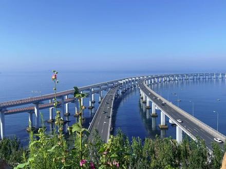 大连网红打卡地星海湾跨海大桥完整路线#跨海大桥 #大连打卡 #大连星海湾跨海大桥 #大连打卡圣地