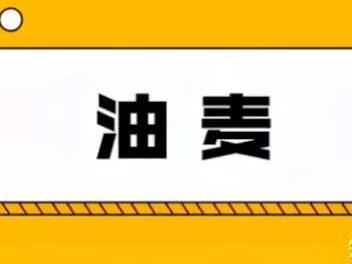 油麦是什么意思?#油麦 #油麦菜 #网络流行 #网络热词 #网络热词翻译 #网络流行语 #网络流行词