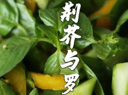 这种蔬菜只有在河南才能吃到,吃过的都说太“上头”了! #荆芥 #河南美食 #地方特色美食 #抖音年味争霸赛 #舌尖家乡味