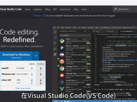在 Visual Studio Code (VS Code) 中设置