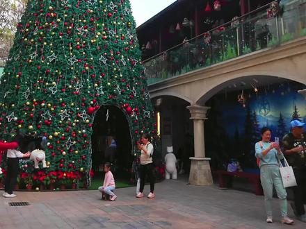 广州15米巨型圣诞树出现!东山口老洋楼里的圣诞氛围太浓了 #圣诞节 #广州圣诞 #广州打卡 #广州拍照 #广州周末去哪儿