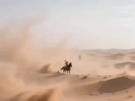 我是莫家的阿育娅,我就是大沙暴#镖人 #陈丽君 #镖人动画