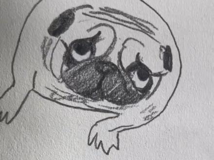 怎样画巴哥犬?#小狗简笔画 #小狗的简单画法 #一学就会系列 #灵魂画手