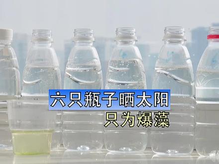 从这次失败的爆藻实验,你们发现防治藻类的方法了吗,实验会继续进行下去,你们觉得,我瓶子里还缺点啥 #鱼缸爆藻