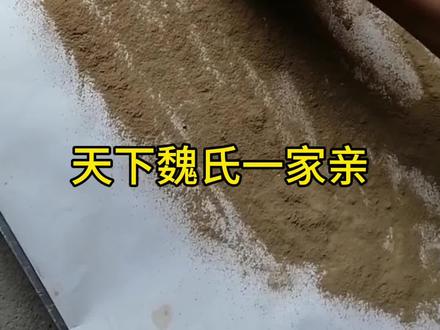 一笔难写一个魏。天下魏氏一家亲#魏氏家族 #弘扬戏曲文化