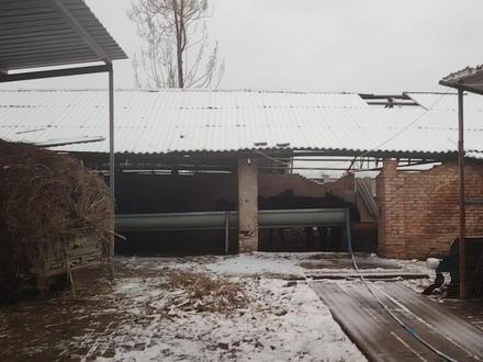 农村创业养马记:比养牛简单,再也不用提心吊胆喂太多,撑坏肚子 #养牛人 #农村创业养殖 #养马日常 #养马场 #我的农村生活