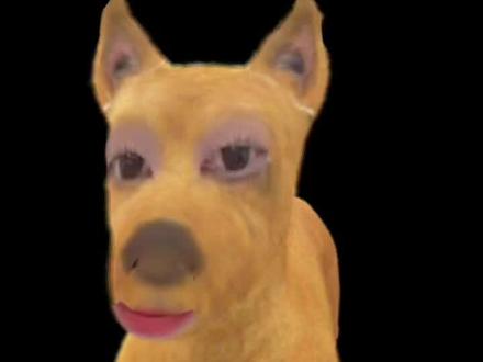 国投白银LOF发布公告,1月28日起暂停申购业务,关门了,兄弟们!!!