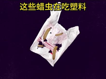 拯救世界的发现,生物学找到了一种可以吃塑料的虫子,未来我们可以大量生产可以解聚塑料的酶,然后把塑料制成更加高级的产品。这一切都是大自然的灵感。#科普 #知识前沿派对 #这个视频有点料