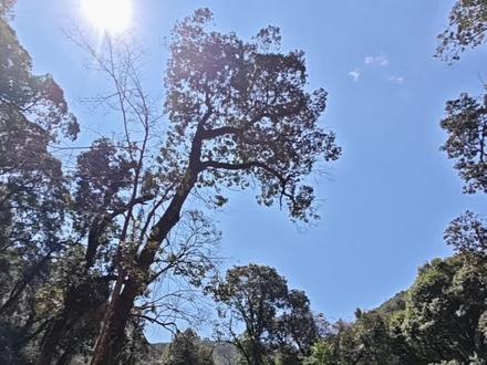 光影留情:善用相机滤镜,拍住质感风格 #手机拍摄技巧 #手机拍摄教学 #红米K90Promax #小米手机 #滤镜