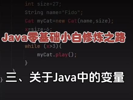 Java零基础小白修炼之路:三、关于Java的变量 #java #java编程 #java基础教学 #编程语言 #程序员
