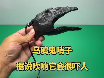 乌鸦鬼哨子,据说吹响它会很吓人