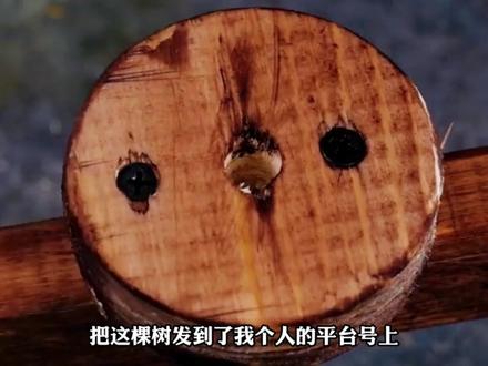 《失败走人》点击下方查看后续精彩内容 #diy #星图小说达人激励计划