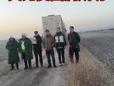 平遥信鸽协会预祝
陕西威奇公棚第三关比赛圆满成功
#平遥信鸽协会#陕西威奇公棚#赛鸽#养鸽人