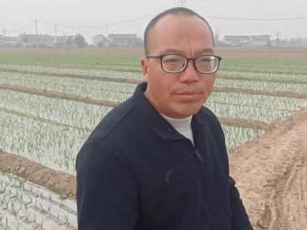 这次冷空气对大蒜影响大不大