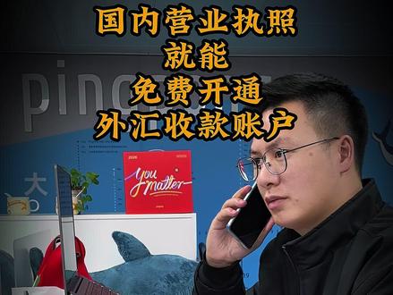 国内营业执照就能免费开通外汇收款账户 #外贸 #外贸收款 #外汇 #离岸账户 #越南盾