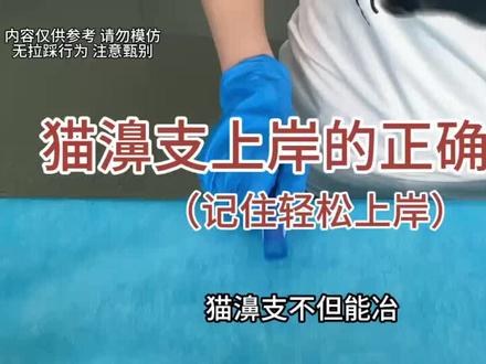 猫濞 支上岸很简单#猫鼻支#猫咪#猫咪打喷嚏#新手养猫#养猫经验分享