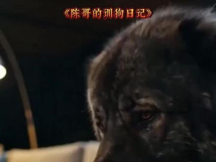 (完结漫剧)全集看完!全集已完结!快来看看吧!!