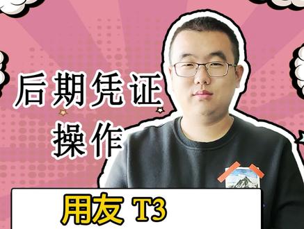 小哥哥30s教会用友T3凭证的后期操作 #会计 #财务 #用友软件 #财务软件