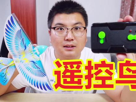 鲁班飞鸟竟然还可以遥控,飞的太快差点找不到,你玩过没? #鲁班飞鸟