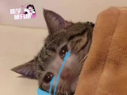 大学生小严绝版了#严浩翔#毕业#养成系#毕业照#北电