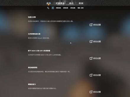 设置适不适合,自己用个一周才知道 #cs2