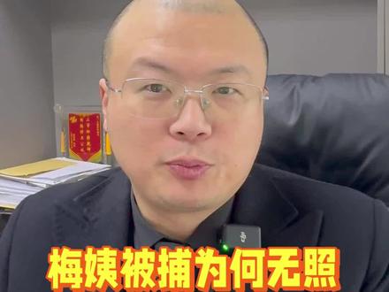 梅姨被捕为何无照片?隐私保护有深意#彭华律师观点 #合肥律师 #网络隐私 #梅姨