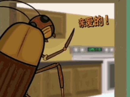 家里发现一只蟑螂,其实就有几百万只,是真的吗?#科普一下 #脑洞大开 #万万没想到 #涨知识 #内容太过真实 #动物 #生物 #冷知识