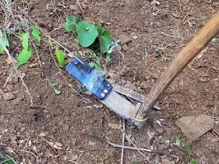 冬笋探测仪终于问世了,只要下载了软件就OK,所有手机都可以用,来看下效果。#挖冬笋