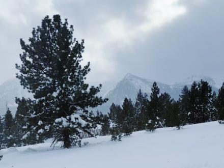一次非常突然的遇险经历。
很多朋友私信我,说零零散散刷到过一些片段,
但没太看明白到底发生了什么,
所以想用这个视频,
把事情的经过简单说清楚
也顺便给大家报个平安。
那天是突发状况,
没有任何心理准备。
医生后来给我的诊断是:
流感 + 高原反应 + 过度换气,
叠加引发了 呼吸性碱中毒、手足痉挛和轻度失温。
听起来挺吓人的,但好在这些情况都不是不可逆的,
只要好好休息、吃药、慢慢恢复,
不会影响之后的生活和工作。
现在还在恢复中,
有点头晕、说话容易累、看文字看手机会眼花,
这个视频也是分了好几天才慢慢录完的,
所以更新晚了一点。
这次经历之后,
我对身体的警觉性、出行安全、以及“不要硬撑”这件事,
都有了不一样的认识。
也真切地感受到,
意外和明天,说不定谁先来
最让我感动的是孩子的冷静和帮助我们的好心人
我们三个人,也在这次经历里一起完成了一次成长
把这段经历记录下来,
希望,如果哪天你也在路上、在高海拔、在极端天气里,
当身体开始发出信号,遇到突发的危险
一定要认真对待、早点停下来。
也谢谢这段时间所有关心、问候我的朋友。
我一切都在慢慢好起来,
也希望大家都平安、健康🙏🙏
#真实经历#高原反应#过度换气 #失温#人生旅记