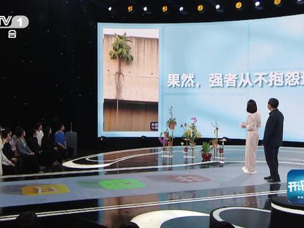导师说学生怕不能毕业曾不敢研究兜兰 研究兜兰,需要对课题难度有什么样的心理准备?曾宋君研究员透露,早期很多基础性工作都是他自己去做,因为学生选相关方向,万一繁殖种苗失败了就毕不了业。不过,随着科研取得进展,目前我国兜兰研究已经达到了世界领先的水平。点视频↓↓↓感受植物和植物学家“默默不语只是一味扎根”!#科学家对兰花价格下手了