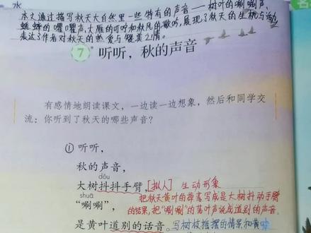 三年级上册第七课《听听,秋的声音》课文讲解,给孩子备起来吧!#三年级 #教辅推荐 #学习方法 #写作技巧 #学习辅导资料