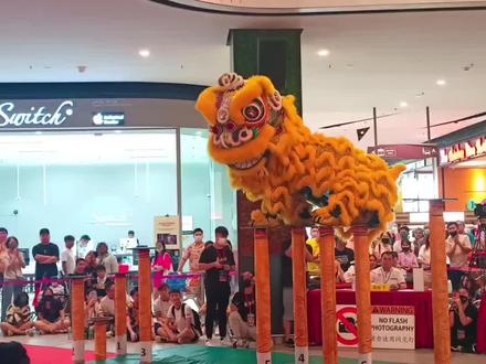 精彩高桩醒狮精彩演绎,这狮艺水平冠军实至名归了!不知道苦练了多久💪祝贺🎉沙威赢得🥇#醒狮文化 #醒狮 #高桩醒狮 #传统文化 #狮王争霸赛 @劉振豪(沙威)