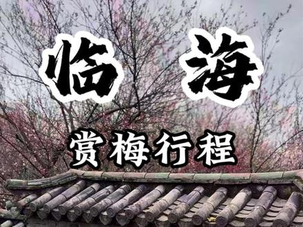 一年一度台州府城梅园绽放盛况来袭 快来人文度假酒店住下,慢慢走过这幅冬日画卷吧。#台州 #梅花 #旅游 #临海 #台州旅游看和悦