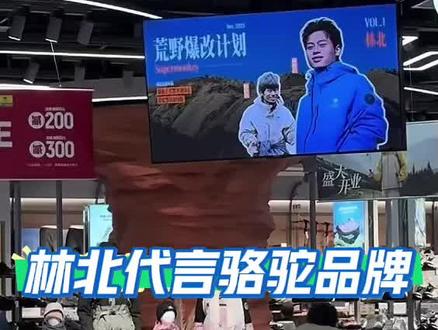 林北代言骆驼
据说这个平民品牌都卖断货了