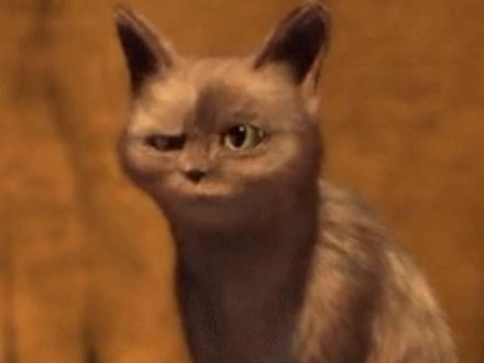 于是麦香鸡决定离家出走 #小说 #麦香鸡呢 #囚于永夜