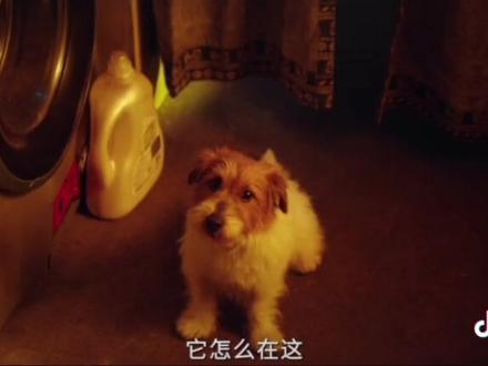 #精彩片段 #高甜吻戏 #因为一个片段看了整部剧 #双轨 #剧情片段 @DOU+上热门 @DOU+小助手 @虞书欣Esther @何与happy