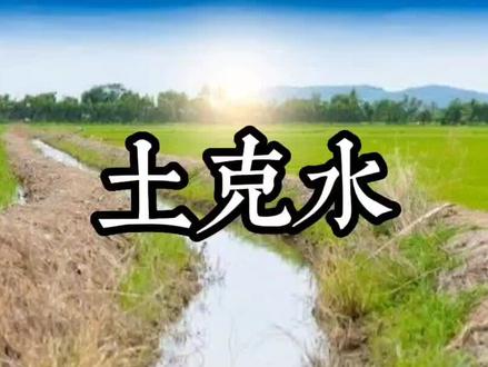 五行第9期|土克水(天之骄子)
#传统文化 #九宫姓名分析
土克水代表人物:周杰伦 刘德华 古天乐 郭德纲 等