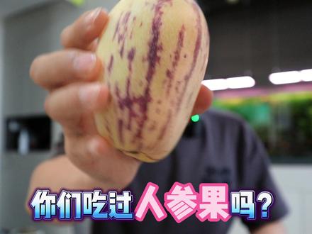 人参果竟然是茄子科的?不敢相信 #人参果 #美食测评 #美食科普