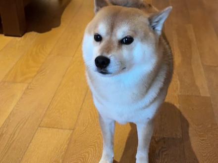 我空有一身巧劲又有何用!!!!!!