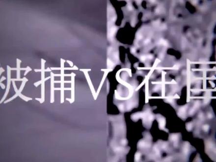 在国外被捕vs在国内被捕
#熊出没 #动画 #疯狂动物城