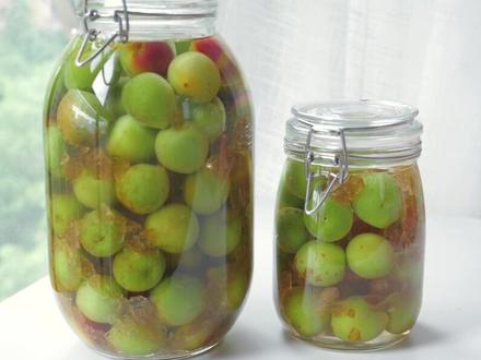 教你在家自制青梅酒,配方和比例都告诉你,简单易学