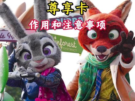 50 秒讲清楚迪士尼的尊享卡!一个项目至少少排队两小时#上海迪士尼 #迪士尼攻略 #上海迪士尼旅游攻略 #迪士尼尊享卡 #尊享卡
