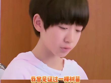 主持人贺峻霖,永远游刃有余,稳稳当当。 #星光大赏 #星光大赏主持人 #贺峻霖