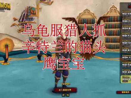 魔兽世界乌龟服辛特兰新增猫头鹰宝宝
