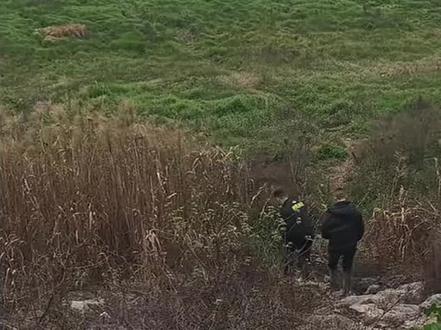 洞庭湖失联女子已找到,已无生命体征!🙏🏻#岳阳