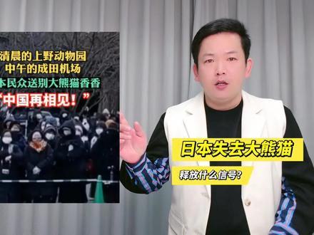 彻底失去大熊猫,背后隐藏大信号! #日本 #大熊猫