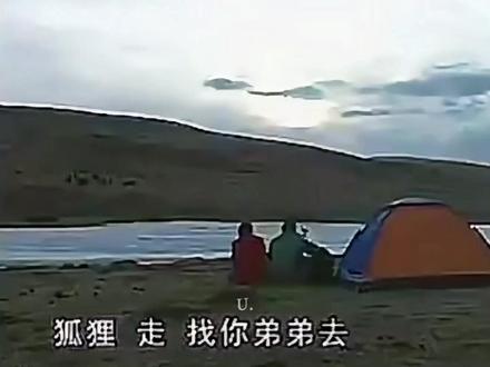 原来狐狸也跟随微漪去草原找过格林 #重返狼群 #格林 #重返狼群十周年特别纪念版 #重返狼群背后的故事 #狼