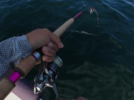 #海钓 #钓鱼 #户外 獐子岛爆钓的一天!