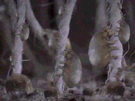 勤晒被子更有利于我们的皮肤健康哦#医学科普 #健康 #皮肤